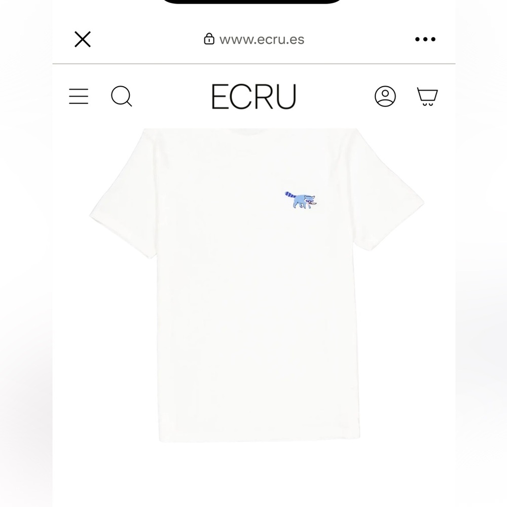 Ecru Men’s White Tee with Blue raccoon Graphic